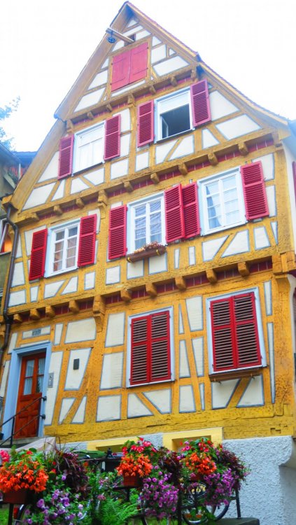 Солнечная Германия 605.jpg