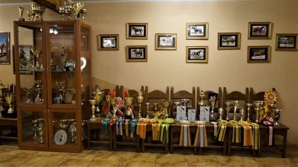 19.05.05_068_Черняховск_Конезавод Георгенбург.JPG