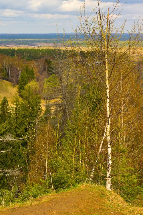 IMG_6875-1 Природа Марий Эл.jpg