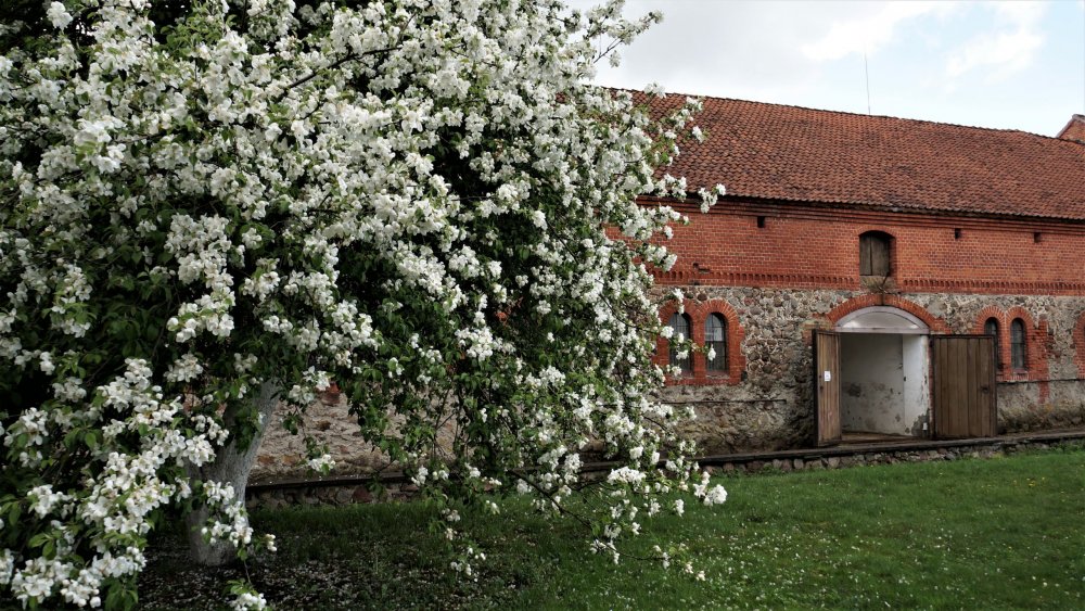 19.05.05_148_Черняховск_Конезавод Георгенбург.JPG