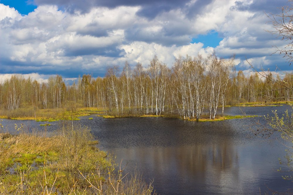 IMG_6881-1 Природа Марий Эл.jpg