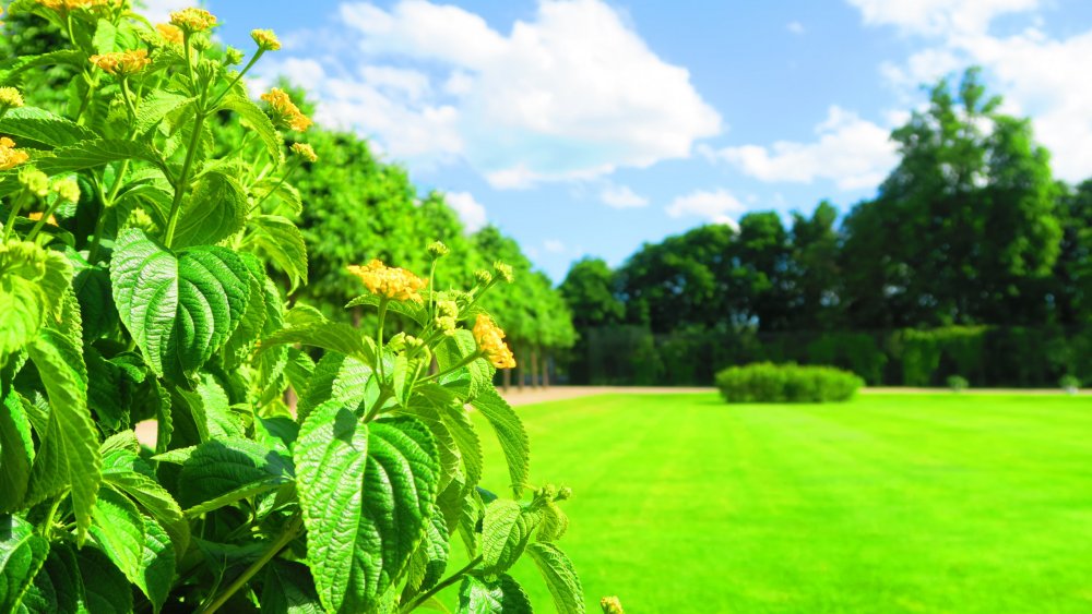 Солнечная Германия 180.jpg