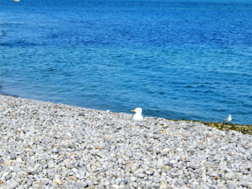 Этрета 024.jpg