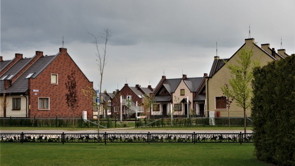 19.05.04_357_ Гусев.JPG