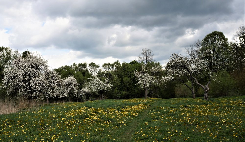 19.05.04_157_ Багратионовск_Замок Прейсиш-Эйлау.JPG