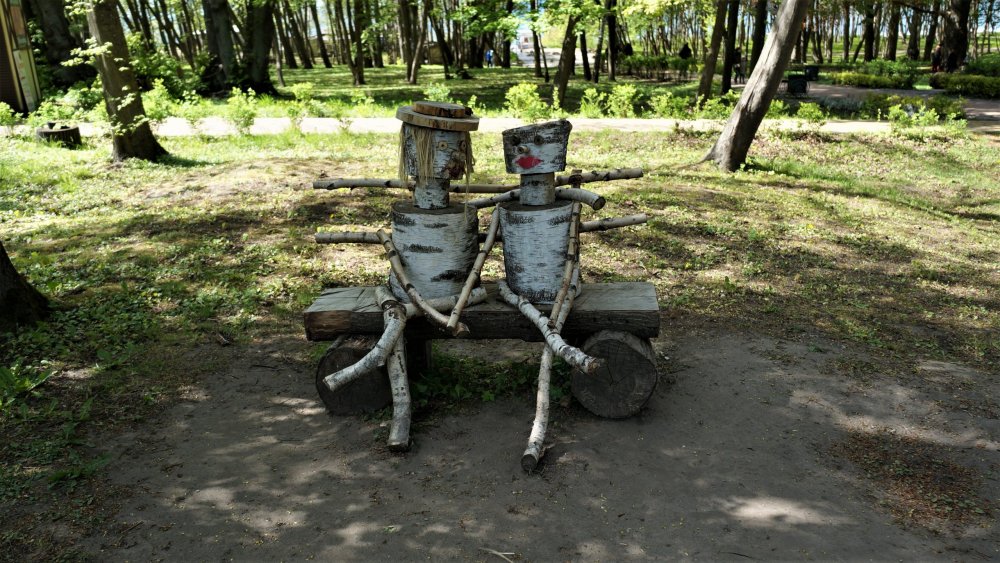 19.05.07_157_Янтарный_парк имени Беккра.JPG