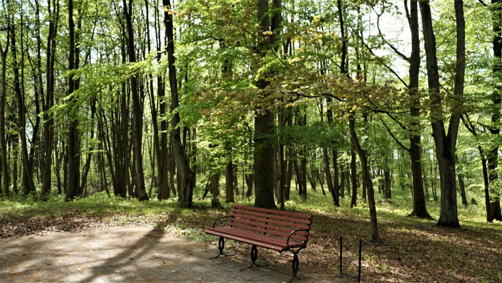 19.05.04_180_Памятник в честь сражения при Прейсиш-Эйлау.JPG