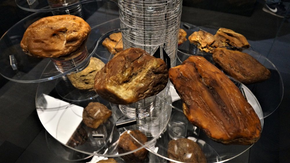 19.05.07_026_Янтарный_Музей янтаря.JPG