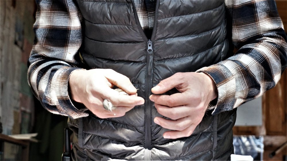 19.05.06_031_Куршская коса_Станция кольцевания птиц.JPG