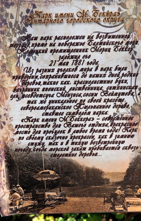 19.05.07_156_Янтарный_парк имени Беккра.JPG