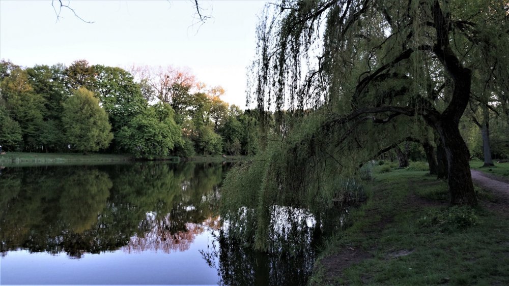 19.05.05_343_Калининград_Южный парк.JPG