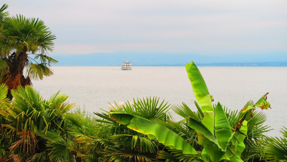 Солнечная Германия 581.jpg