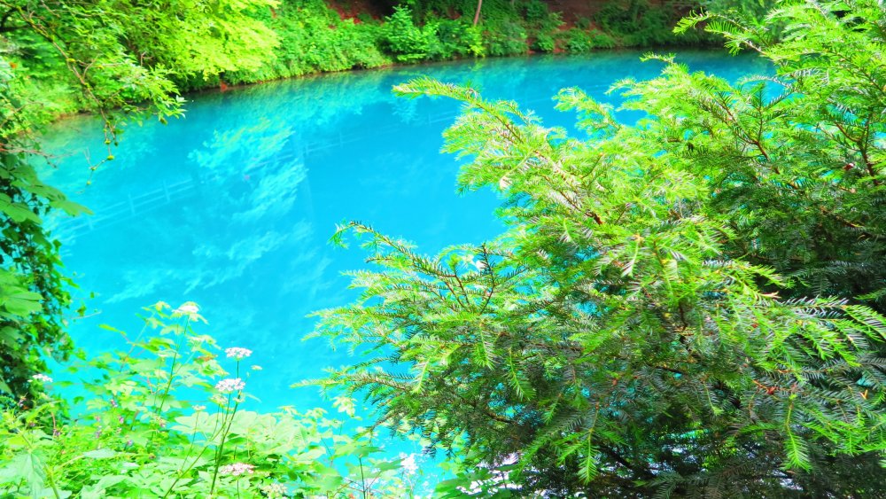 Солнечная Германия 693.jpg