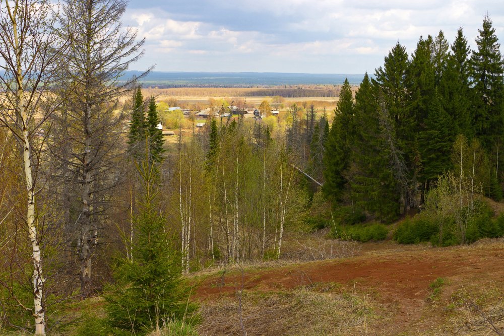 IMG_6873-1 Природа Марий Эл.jpg