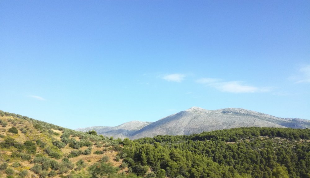 IMG_20190611_083512 - 2.jpg