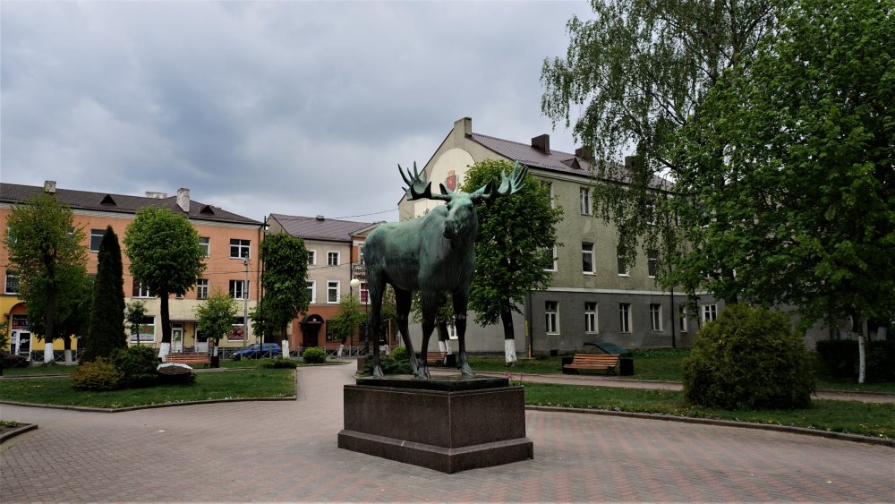 19.05.04_339_ Гусев.JPG