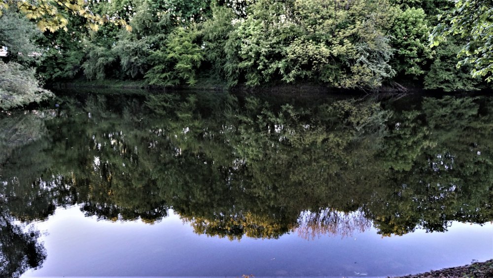 19.05.05_332_Калининград_Южный парк.JPG