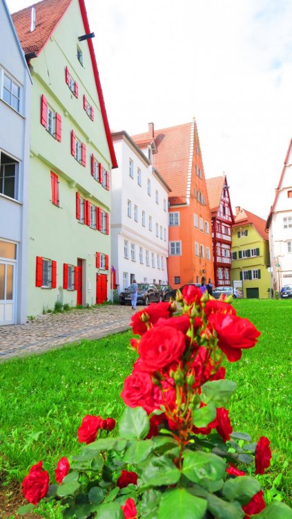 Солнечная Германия 723.jpg