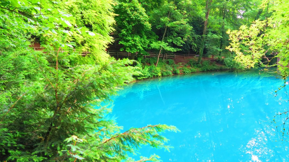 Солнечная Германия 694.jpg