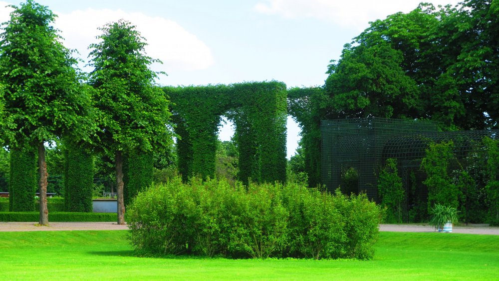 Солнечная Германия 181.jpg