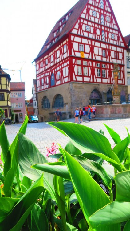 Солнечная Германия 801.jpg