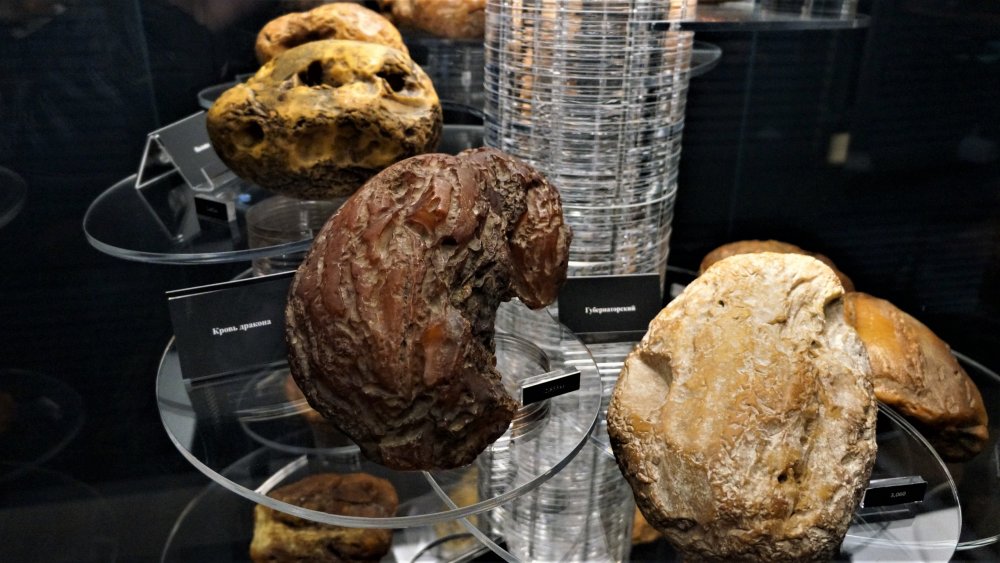 19.05.07_027_Янтарный_Музей янтаря.JPG