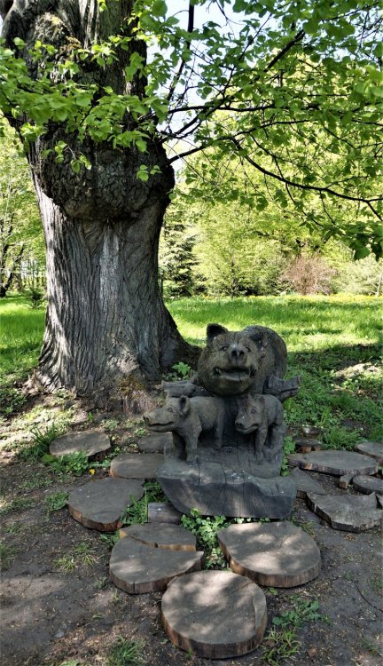 19.05.07_167_Янтарный_парк имени Беккра.JPG