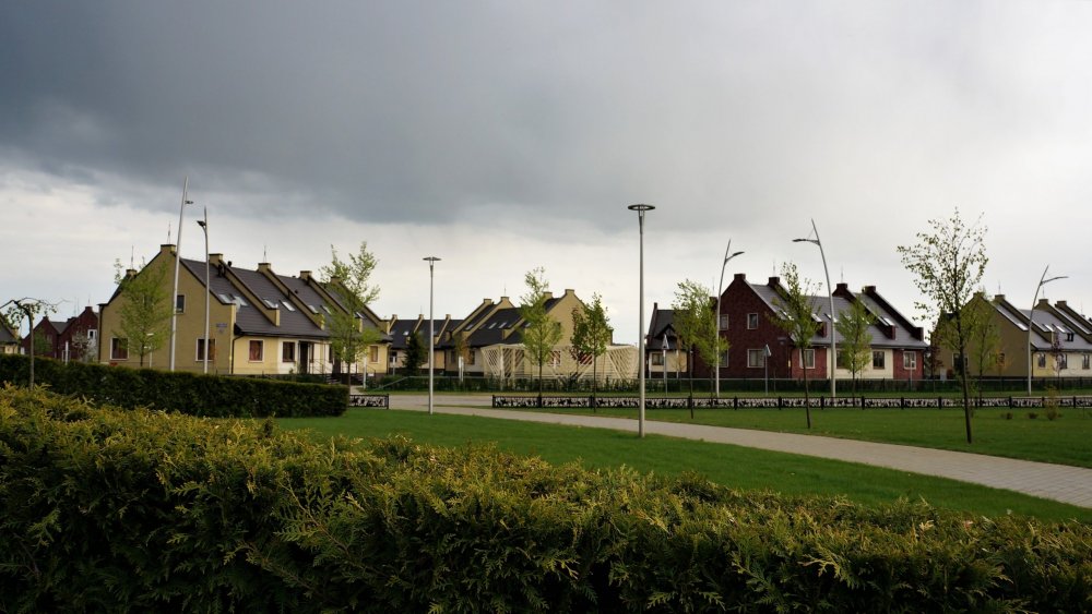 19.05.04_344_ Гусев.JPG