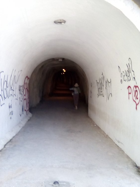 Изображение 088.jpg