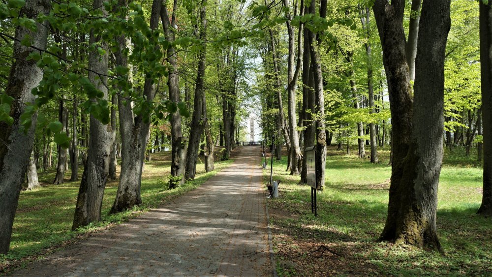 19.05.04_166_Памятник в честь сражения при Прейсиш-Эйлау.JPG