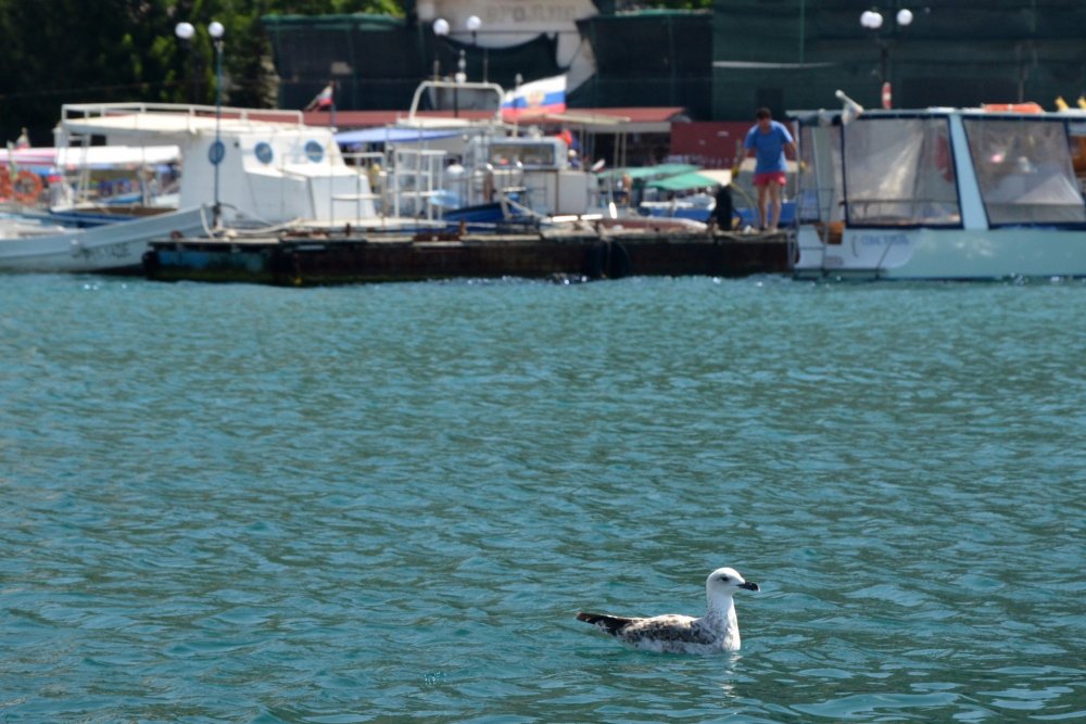 ___DSC_4588.jpg