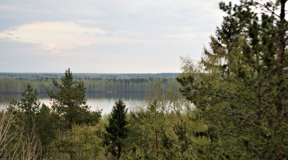 19.05.11_094_Карелия_гора Сампо вид на озеро Кончезеро.JPG