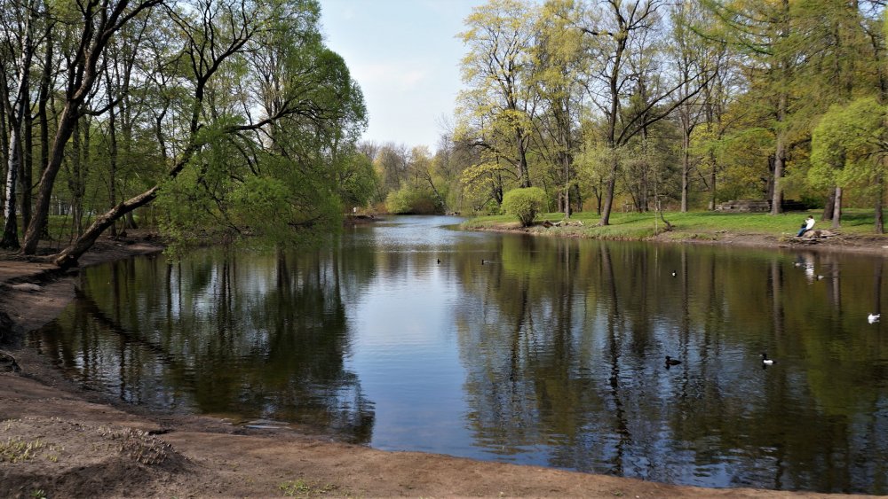 19.05.10_158_СПб_Елагин остров.JPG