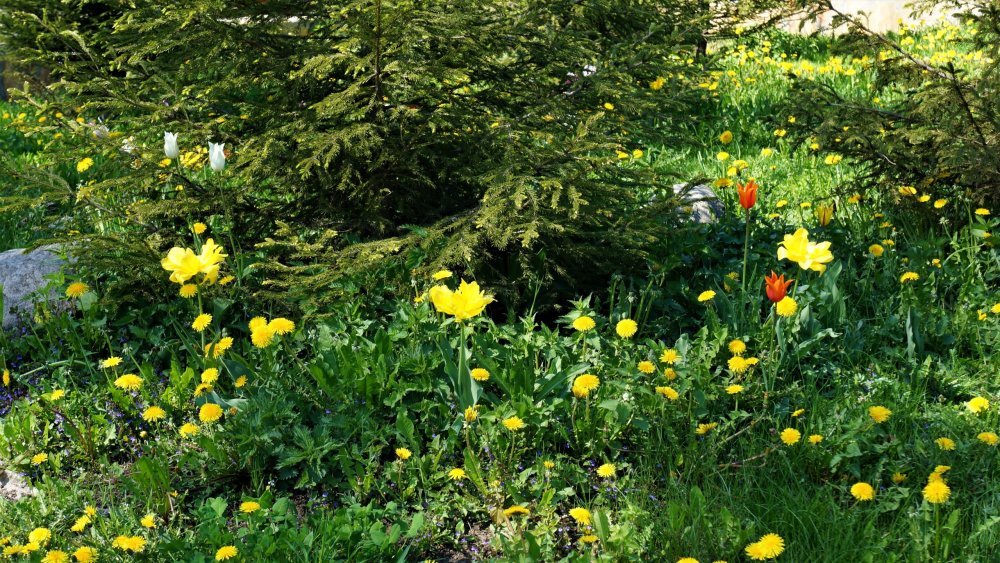 19.05.16_095_СПб_ Зоопарк.JPG