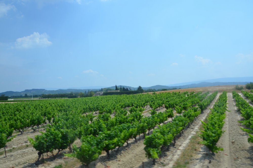 2 AS  2019г. часть 2 497.JPG