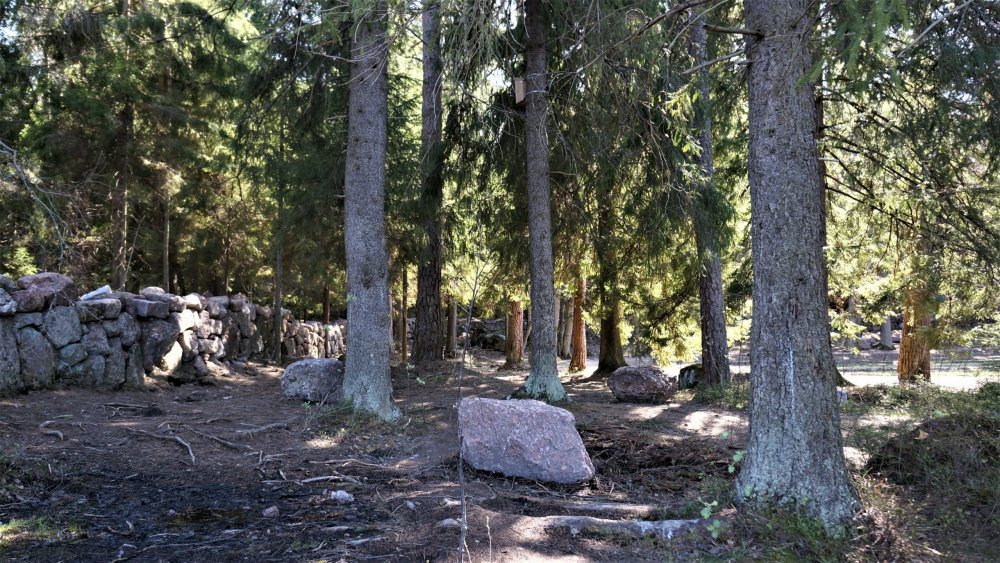 19.05.14_305_Выборг_парк Монрепо.JPG