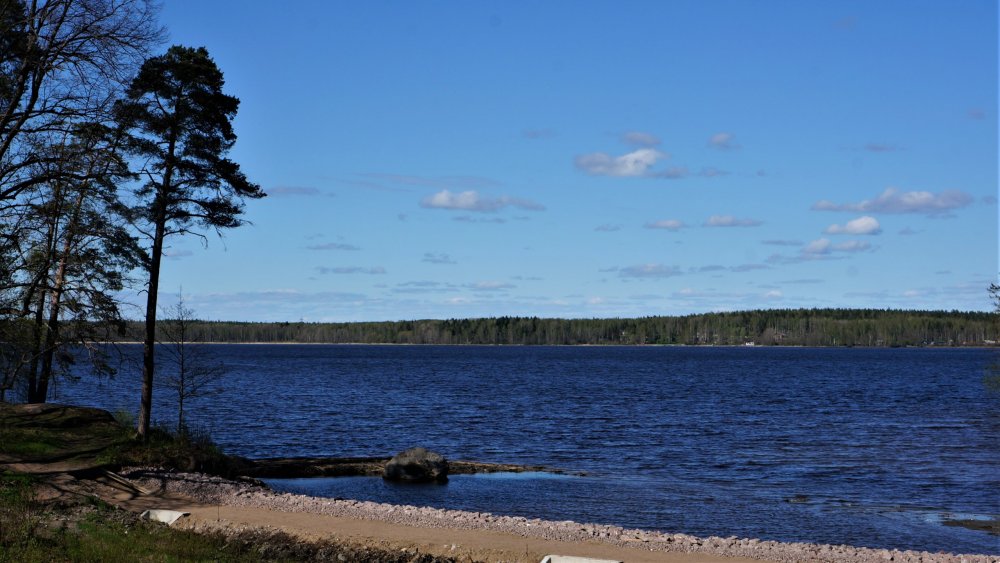 19.05.14_304_Выборг_парк Монрепо.JPG