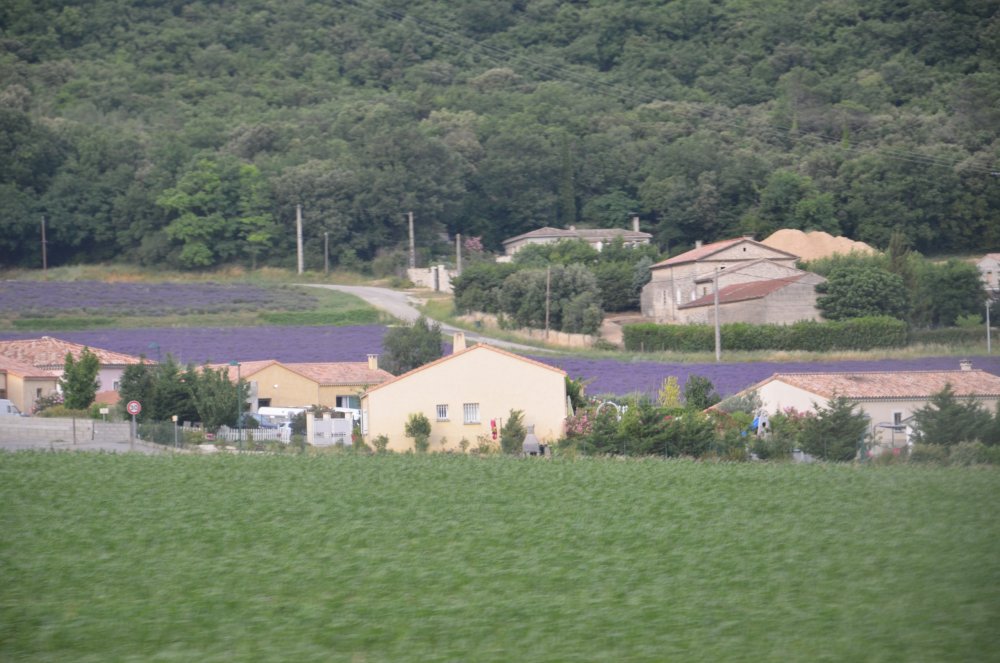 2AS  2019 г. часть 3 1022.JPG