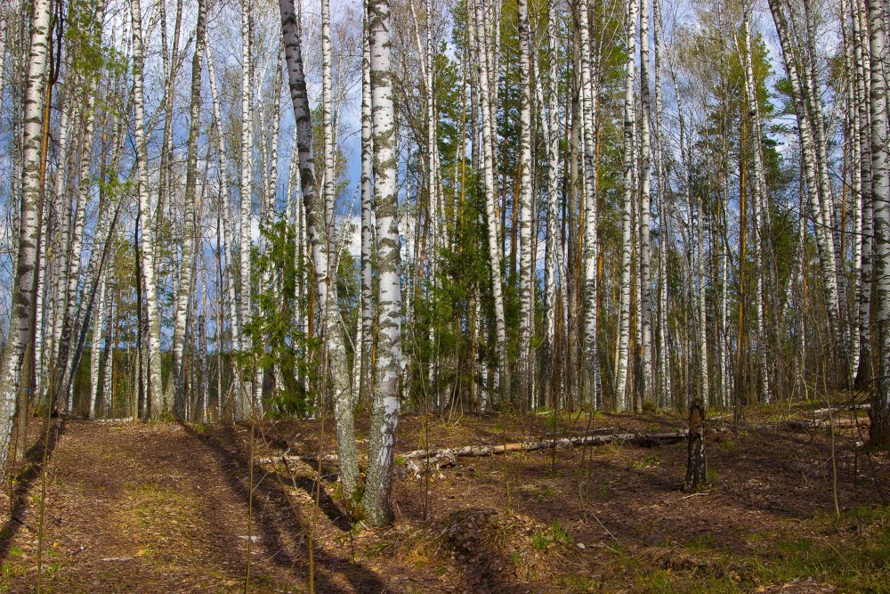 Img_6973-1 Марий Чодра.jpg