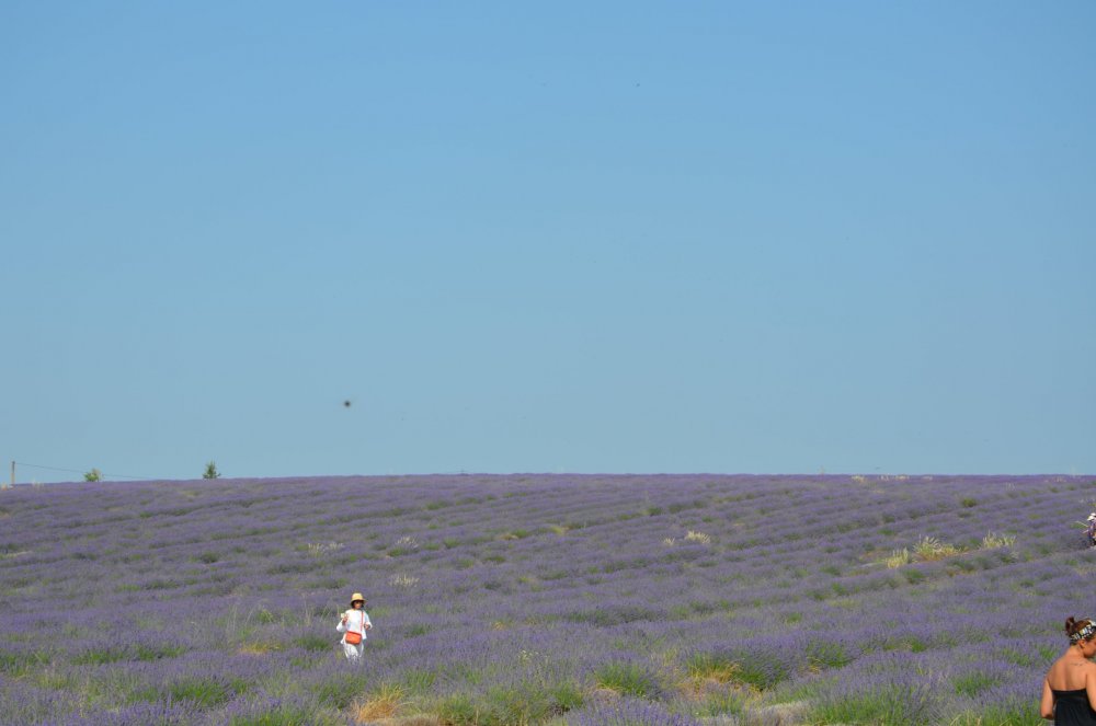 Тур  2AS  2019г. часть 4 038.JPG