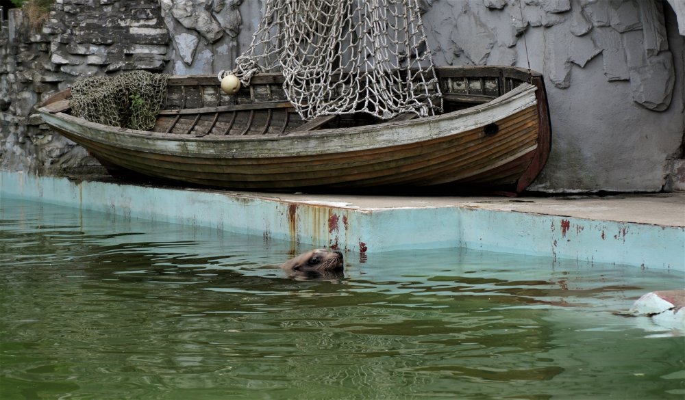 19.05.08_026_ Калининград_ зоопарк.JPG