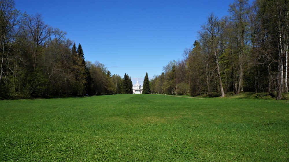 19.05.15_250_ Ораниенбаум.JPG