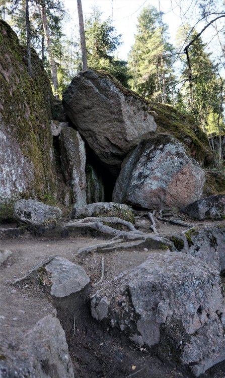 19.05.14_330_Выборг_парк Монрепо.JPG