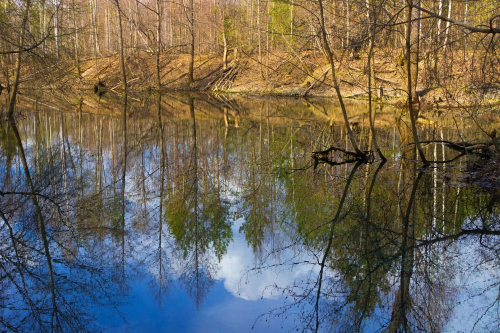 Img_7013 Марий Чодра Зеленый ключ.jpg