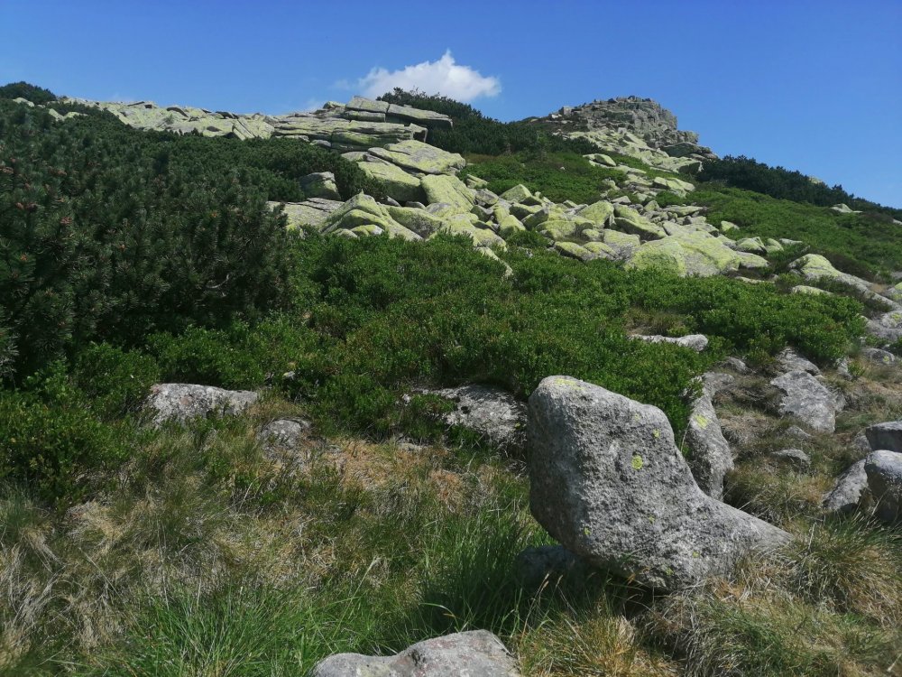 IMG_20190701_121942-001 — копия.jpg