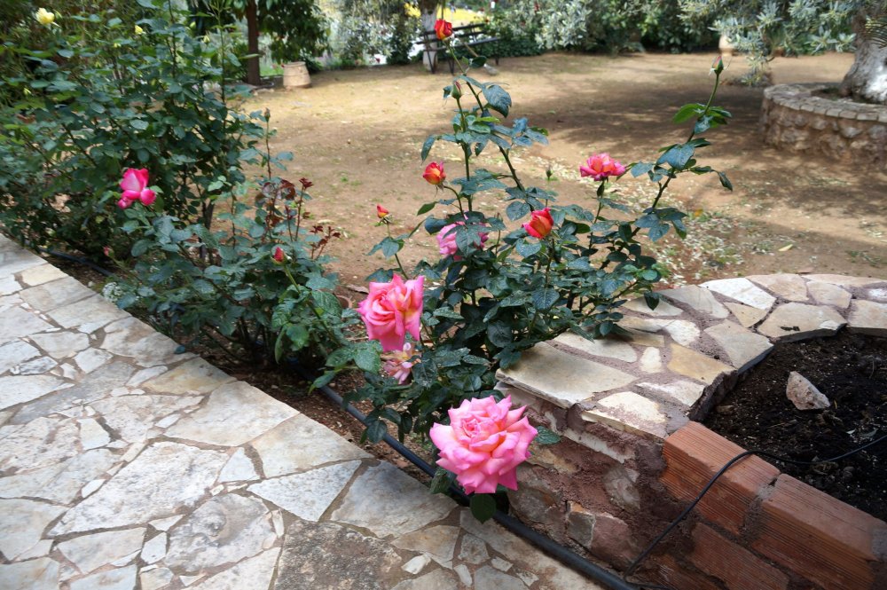 28_Женский мон-рь Агнудос(Греция)_045.JPG