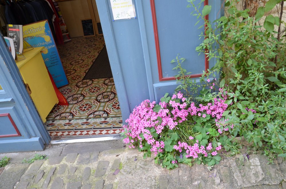 2 AS  2019г. часть 2 008.JPG