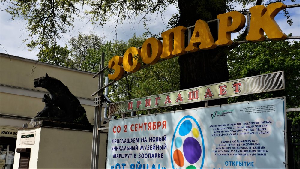 19.05.08_007_ Калининград_ зоопарк.JPG