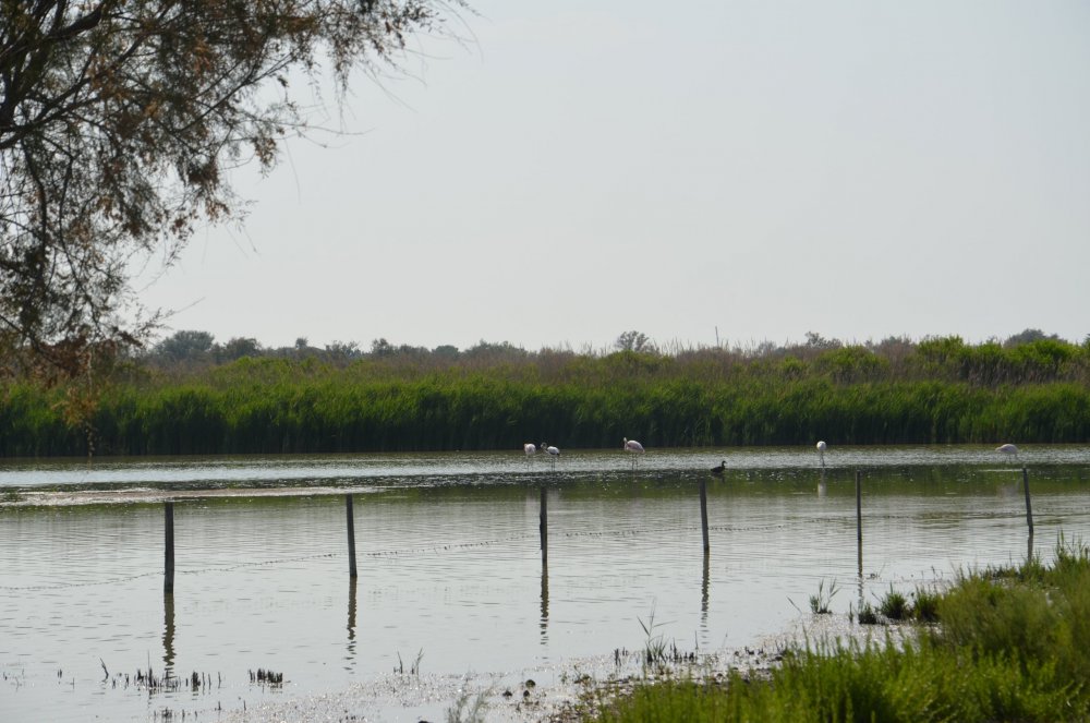 2AS  2019 г. часть 3 514.JPG