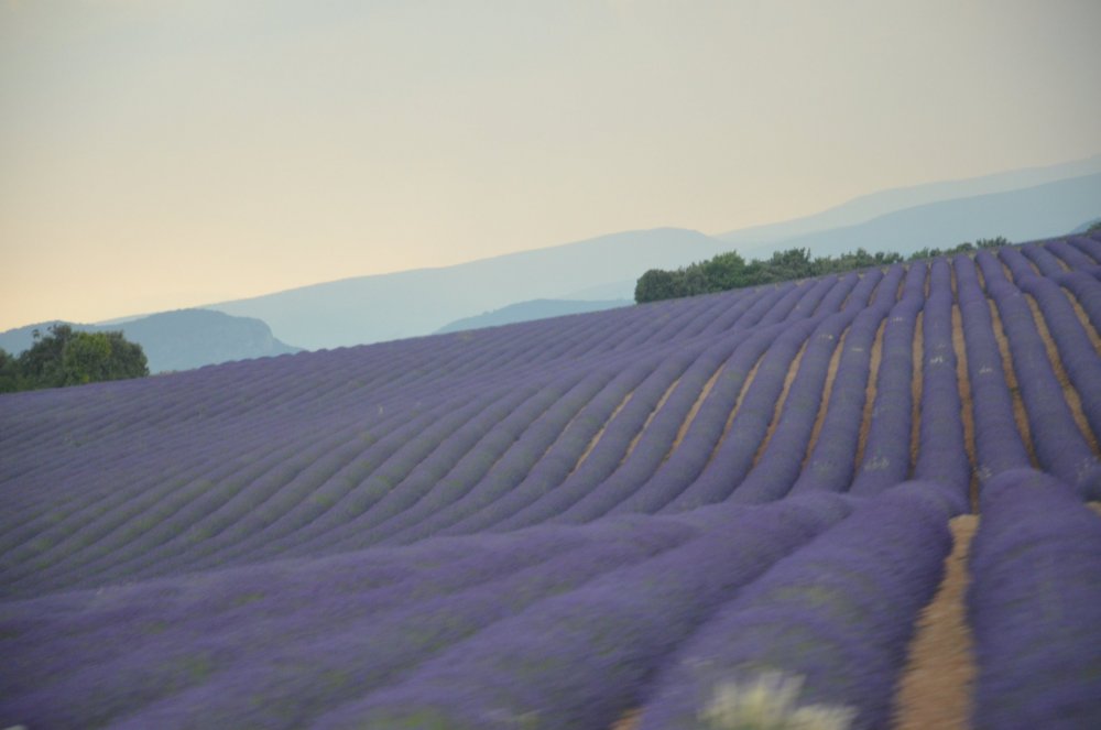 Тур 2AS  2019г. часть 5 076.JPG